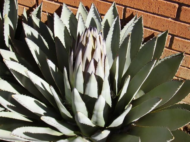 pictx0002.jpg