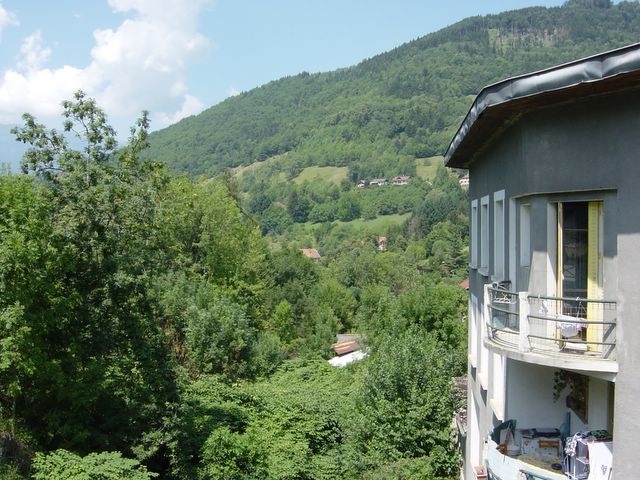 dsc02555.jpg