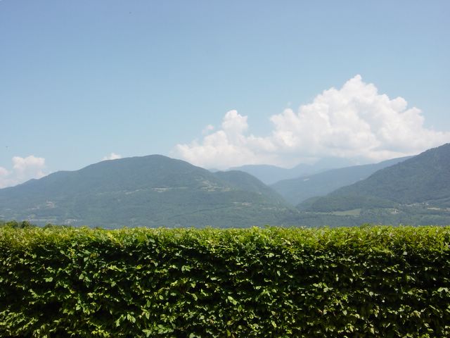 dsc02560.jpg