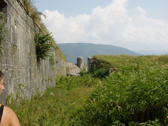 dsc02569.jpg