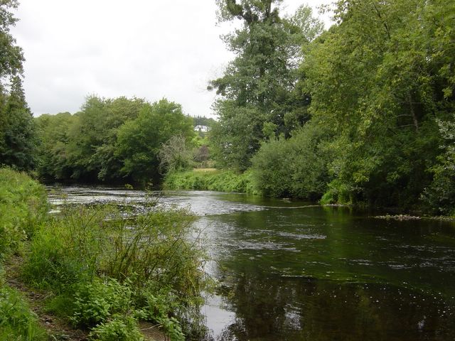 2006_08_01_012.jpg