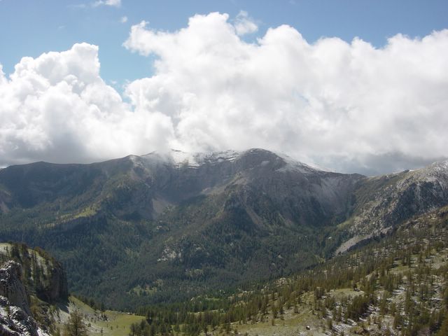 dsc02718.jpg
