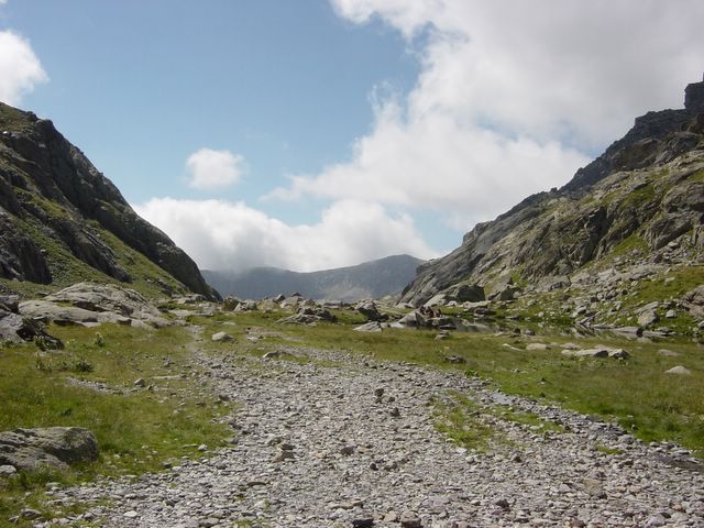 dsc02731.jpg