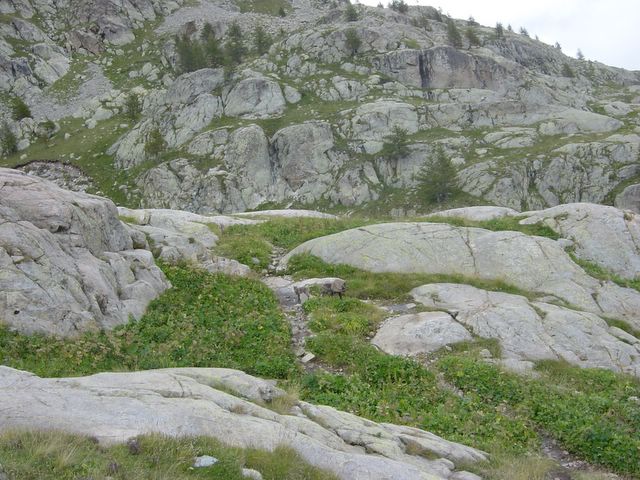 dsc02741.jpg