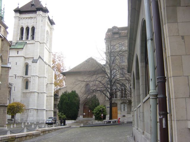 dsc03559.jpg