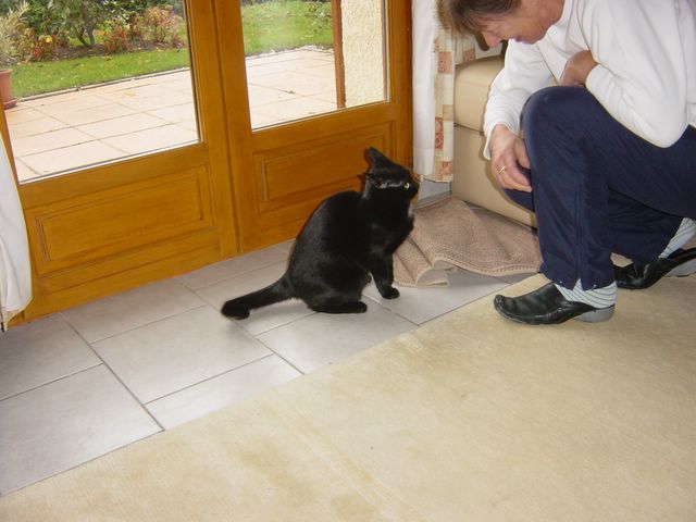 dsc03596.jpg