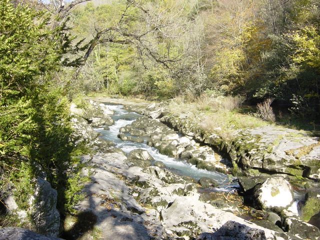 dsc03452.jpg