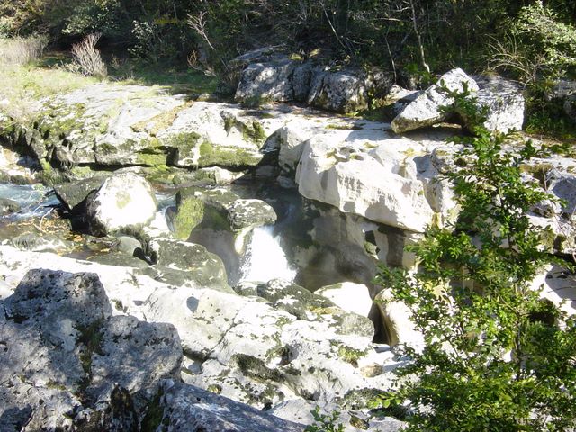 dsc03453.jpg