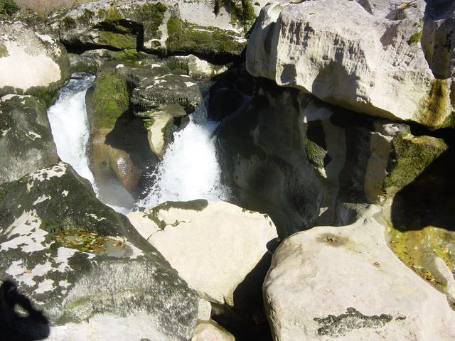 dsc03456.jpg
