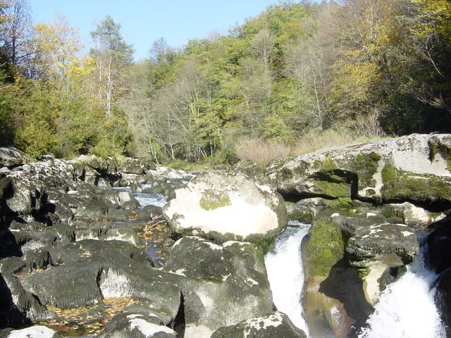 dsc03457.jpg