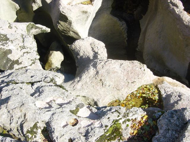 dsc03459.jpg