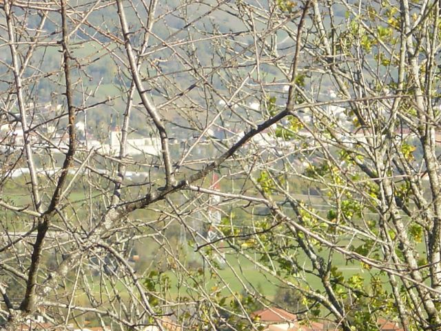 dsc03467.jpg