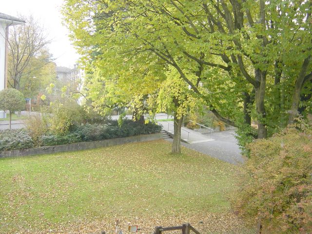 dsc03478.jpg