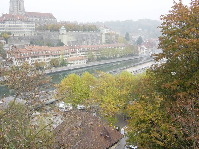 dsc03486.jpg