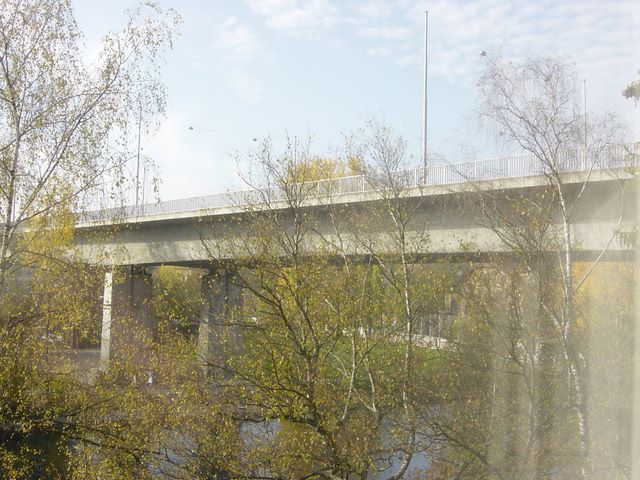 dsc03493.jpg