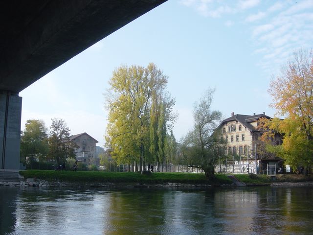 dsc03498.jpg