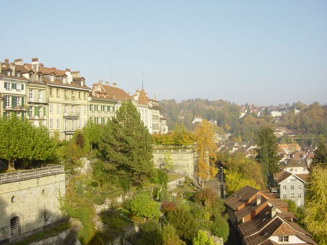 dsc03503.jpg