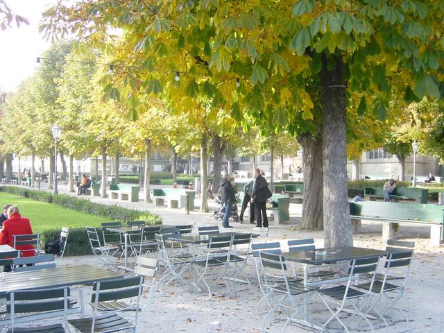 dsc03504.jpg