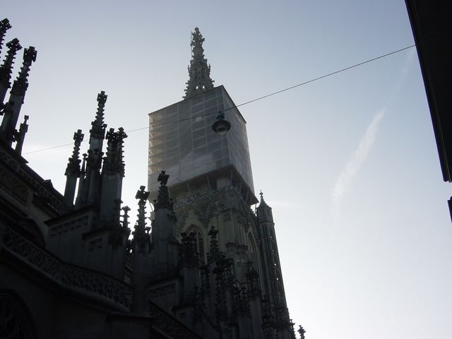 dsc03506.jpg