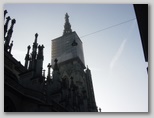 dsc03506.jpg