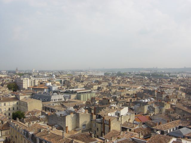 dsc03397.jpg