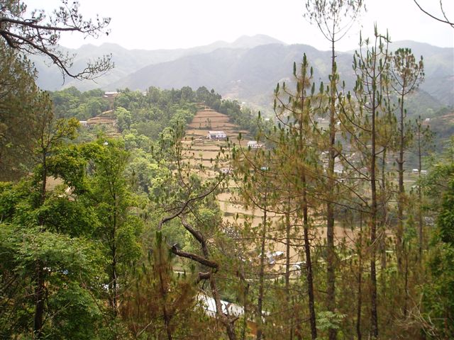 view_from_anadaban.jpg