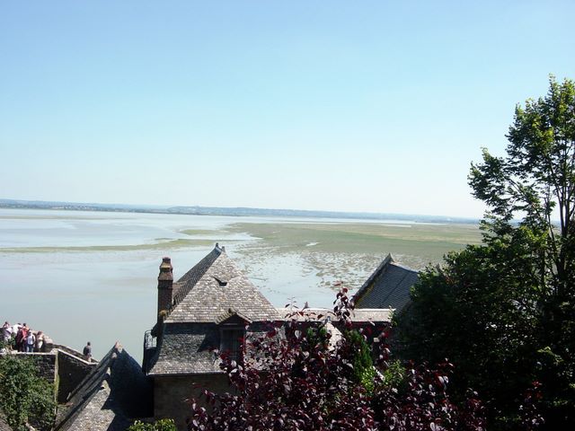 dsc03202.jpg
