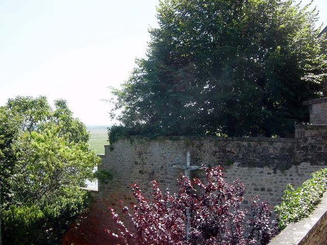 dsc03203.jpg