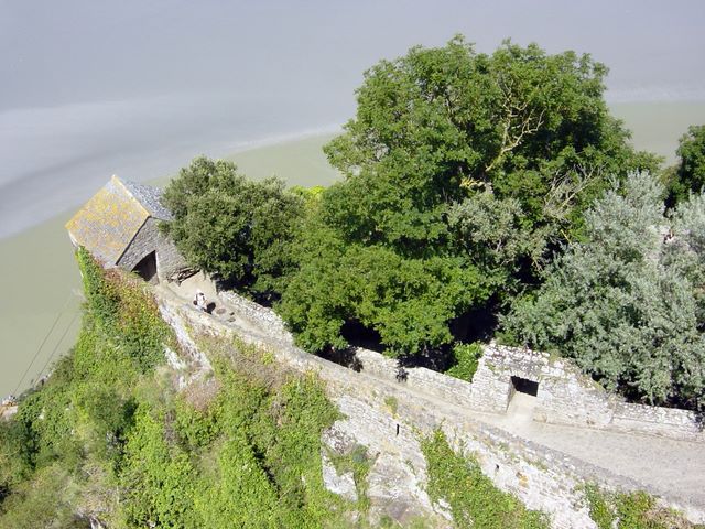dsc03217.jpg