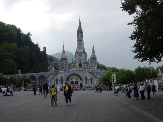 dsc03335.jpg