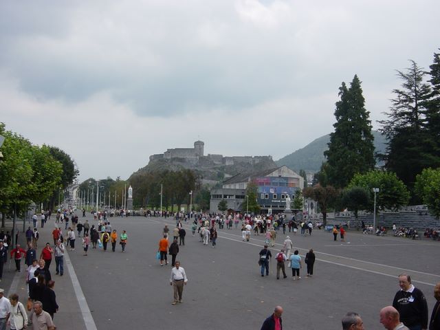 dsc03337.jpg