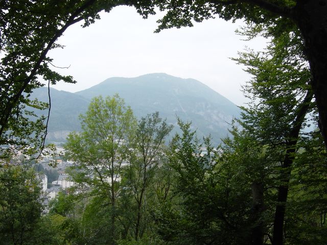 dsc03349.jpg