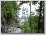 dsc03350.jpg
