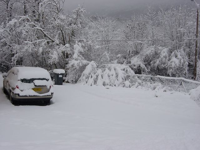 dsc03055.jpg