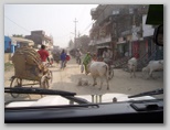 a2_janakpur_our_closest_town_for_shopping1.jpg