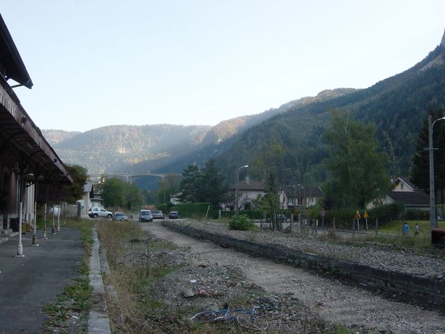 dsc03447.jpg