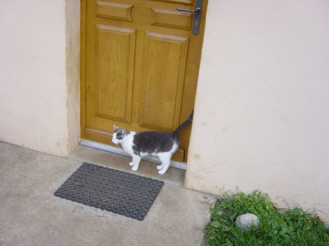 dsc03519.jpg