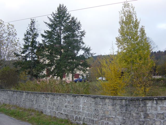 dsc03526.jpg