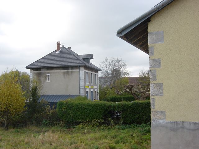 dsc03530.jpg