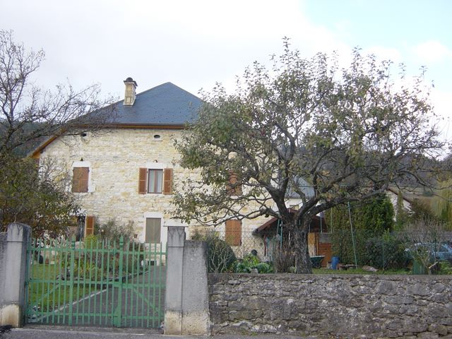 dsc03535.jpg