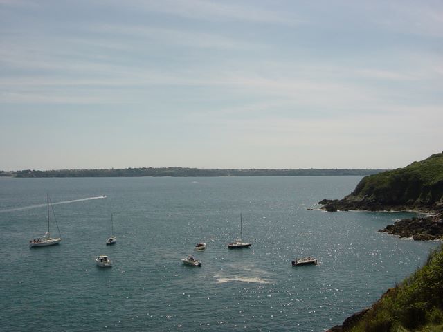 dsc03238.jpg