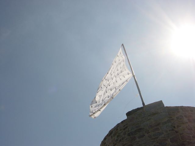 dsc03250.jpg