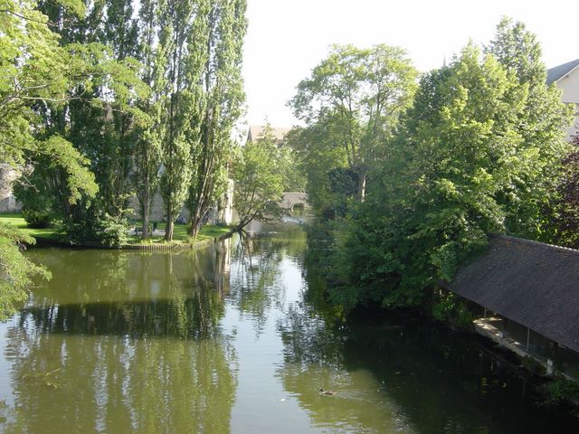 dsc03143.jpg