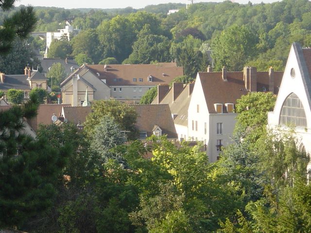 dsc03170.jpg