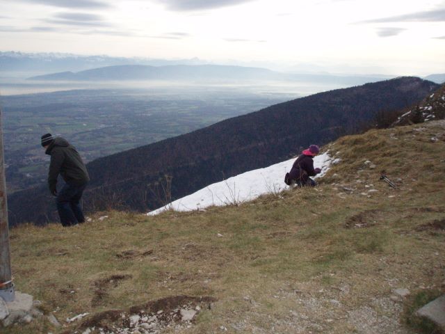 pc300005.jpg