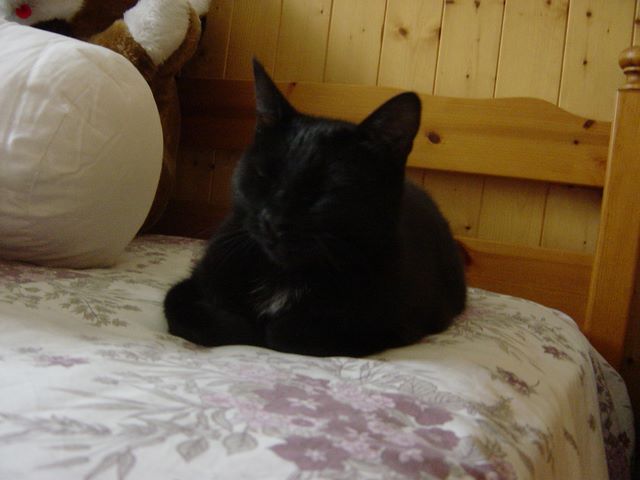 dsc03912.jpg