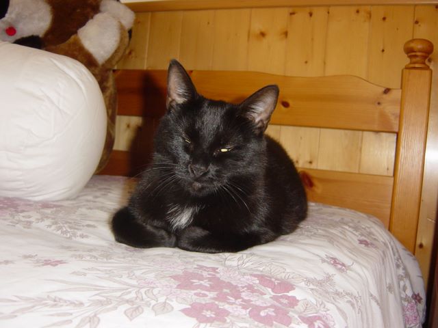 dsc03914.jpg
