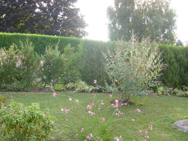 dsc03916.jpg