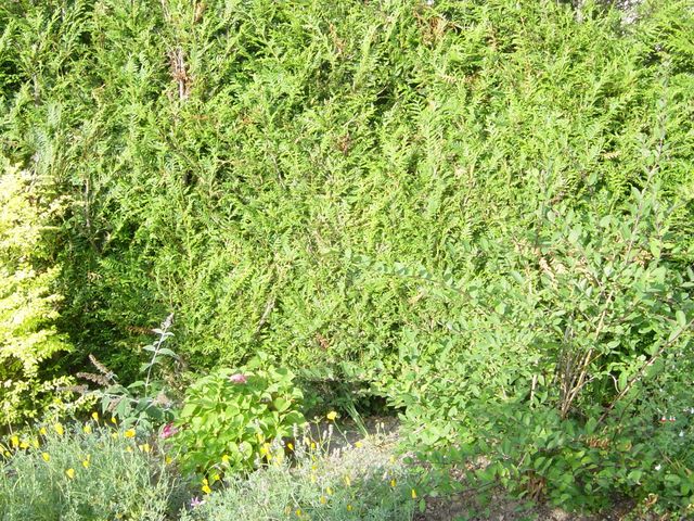 dsc03924.jpg