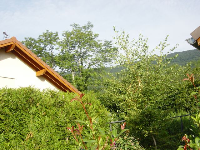 dsc03928.jpg